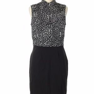 41 Hawthorn Women’s Dress  NWT MSRP $68